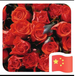 ��Ůʿ��(g��)�˺�(ji��n)�v